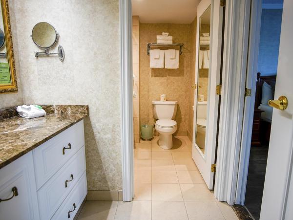 Hôtel Palace Royal : photo 3 de la chambre suite avec 1 lit queen-size et canapé-lit - vue sur extérieur