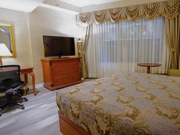 Hôtel Palace Royal : photo 3 de la chambre chambre classique avec 1 lit queen-size (intérieur)