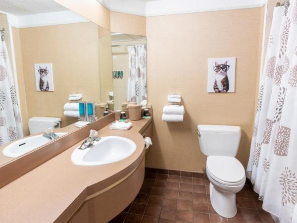 Hôtel Québec Inn : photo 6 de la chambre chambre traditionnelle avec 2 lits doubles et terrasse intérieure - côté piscine