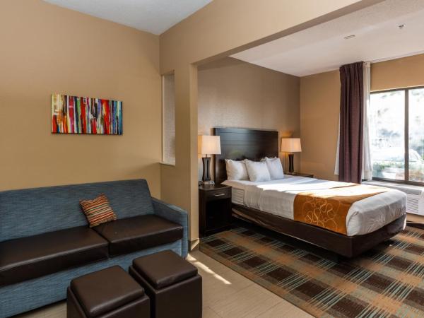 Comfort Suites Houston West at Clay Road : photo 9 de la chambre suite lit king-size - accessible aux personnes à mobilité réduite - non-fumeurs