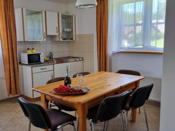 Hotel Karkonosze : photo 1 de la chambre appartement 3 chambres (6 adultes)