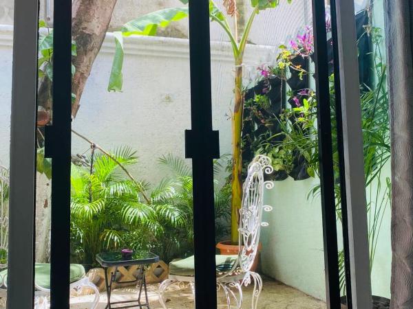 The Quetzal : photo 10 de la chambre suite avec terrasse