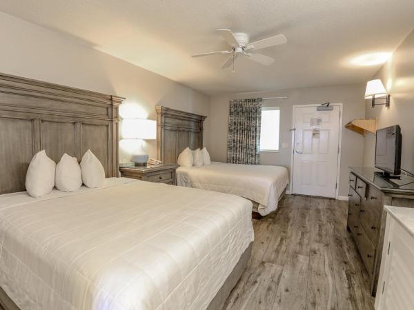 Flamingo Hotel & Tower : photo 4 de la chambre chambre double deluxe avec balcon - vue sur mer
