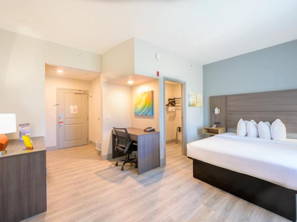 Hawthorn Extended Stay by Wyndham Panama City Beach : photo 5 de la chambre studio lit queen-size - non-fumeurs
