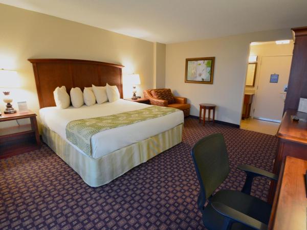 Rosen Inn Closest to Universal : photo 2 de la chambre chambre lit king-size deluxe