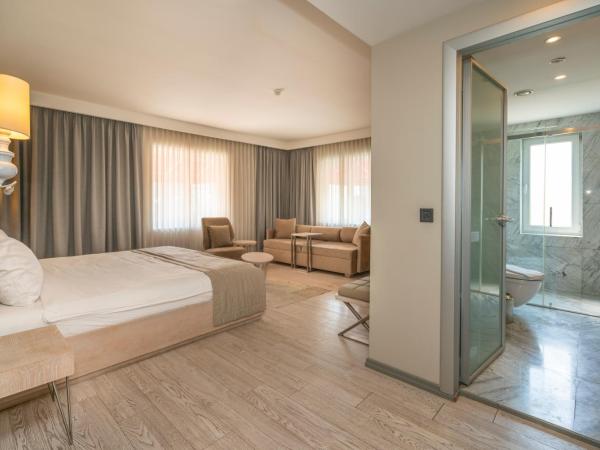 The Gate 30 Suites Ataşehir : photo 4 de la chambre suite exécutive