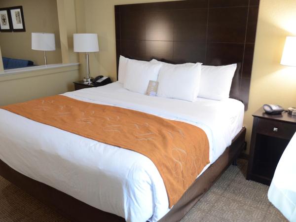 Comfort Suites Northwest - Cy - Fair : photo 2 de la chambre suite lit king-size avec canapé-lit accessible aux personnes à mobilité réduite - non-fumeurs