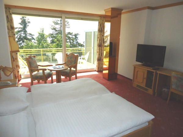 Grand Hôtel du Parc : photo 8 de la chambre chambre double sud