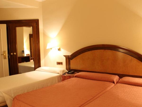 Hotel Monterrey : photo 1 de la chambre chambre lits jumeaux avec lit d’appoint - 301