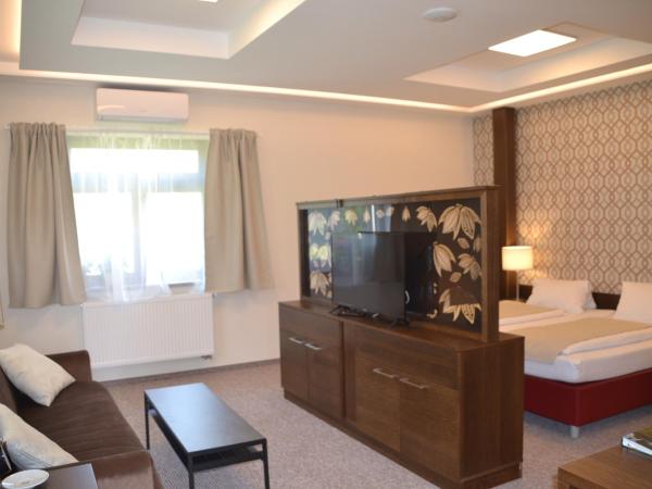 Wellness Hotel Svachovka : photo 3 de la chambre chambre deluxe double ou lits jumeaux