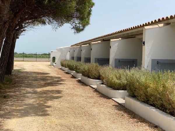 Hotel Mas des Lys : photo 8 de la chambre chambre double confort avec douche