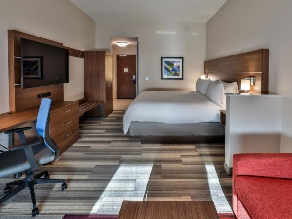 Holiday Inn Express & Suites - Nashville MetroCenter Downtown, an IHG Hotel : photo 9 de la chambre suite lit king-size