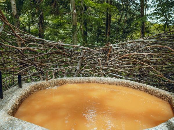 Arimasansoh Goshobessho : photo 3 de la chambre villa deluxe