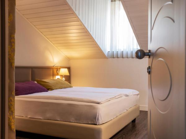 Hotel Alexandra : photo 1 de la chambre chambre double avec douche et toilettes communes