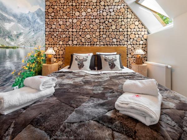 Bory6a Apartamenty & Free Parking : photo 2 de la chambre appartement de luxe 6