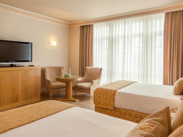 Gran Hotel Los Abetos : photo 3 de la chambre chambre double ou lits jumeaux