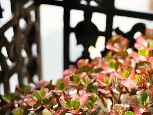 Hotel Okako San Sebastian : photo 10 de la chambre chambre double ou lits jumeaux supérieure