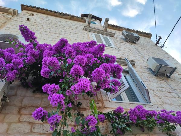 Carol Rooms : photo 2 de la chambre studio