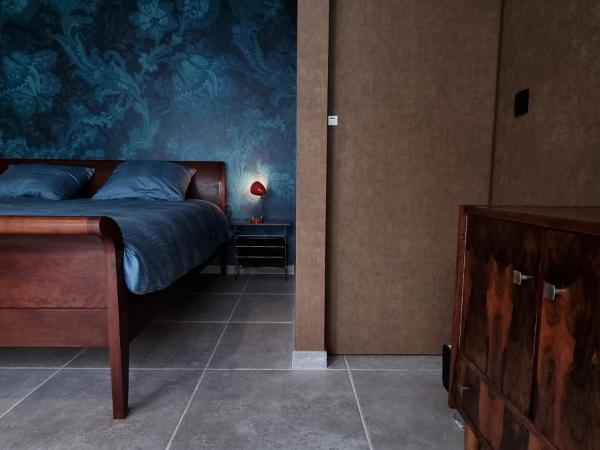 Logies La Chèvre Folle : photo 1 de la chambre chambre double deluxe avec douche