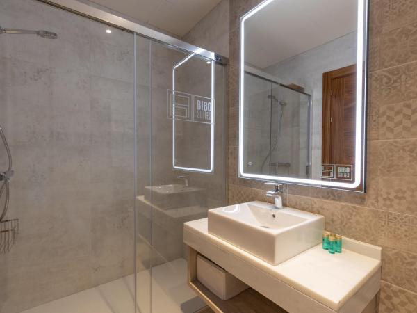 BiBo Suites San Agustín : photo 2 de la chambre appartement 2 chambres avec 2 salles de bains