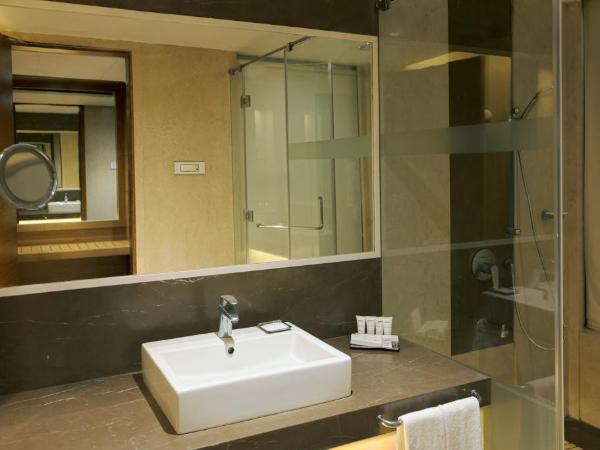 Radisson Udaipur : photo 9 de la chambre superior room-enjoy 20% off on food & soft beverages and spa