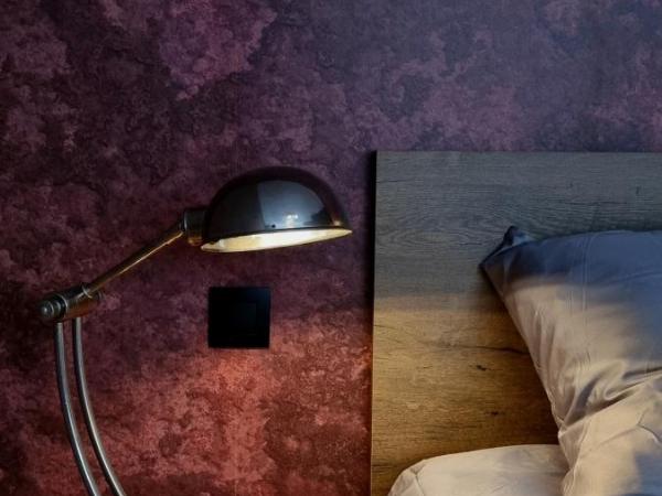 Logies La Chèvre Folle : photo 2 de la chambre chambre double deluxe avec douche