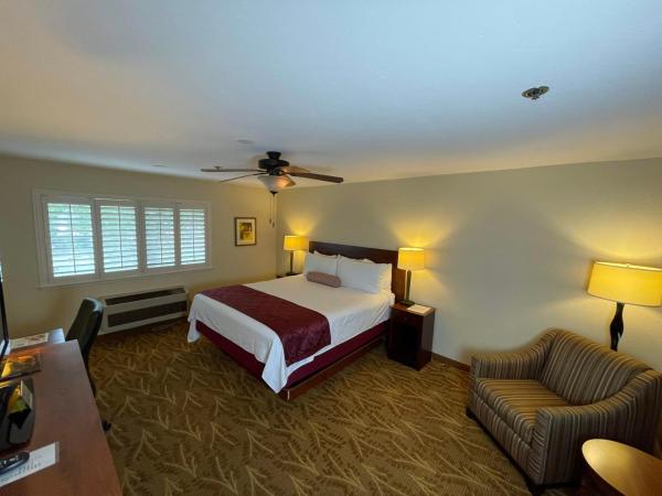 Governors Inn Hotel Sacramento : photo 6 de la chambre studio lit king-size avec canapé-lit et micro-ondes