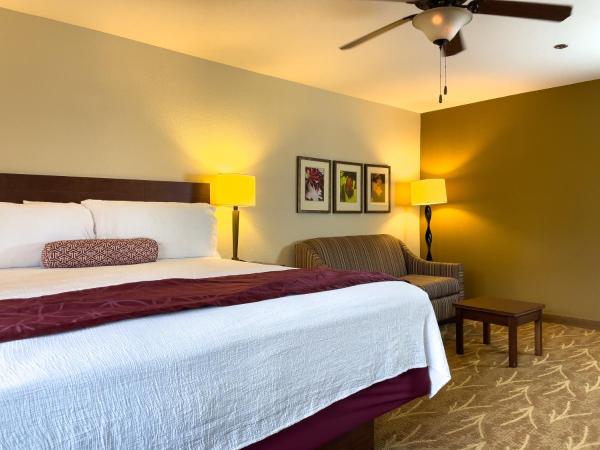 Governors Inn Hotel Sacramento : photo 4 de la chambre studio lit king-size avec canapé-lit et micro-ondes