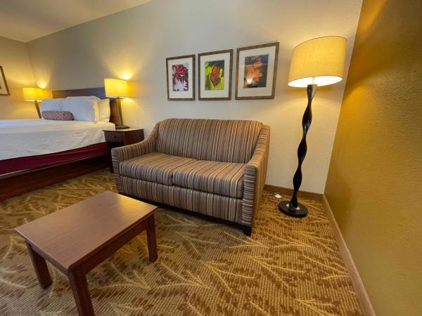 Governors Inn Hotel Sacramento : photo 2 de la chambre studio lit king-size avec canapé-lit et micro-ondes
