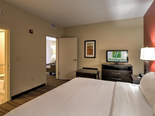 Holiday Inn North Quail Springs, an IHG Hotel : photo 5 de la chambre suite lit king-size avec canapé-lit - adaptée aux personnes malentendantes