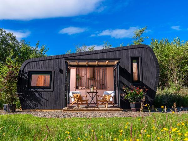 Killarney Glamping at the Grove, Suites and Lodges : photo 10 de la chambre cabane