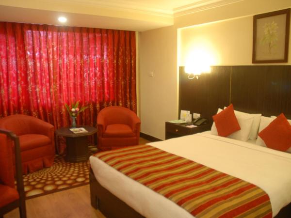 Hotel Vaishali : photo 8 de la chambre chambre double standard