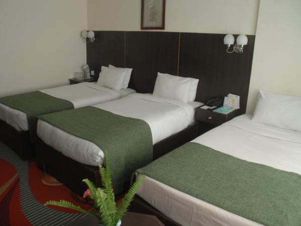 Hotel Vaishali : photo 2 de la chambre chambre triple deluxe