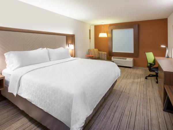 Holiday Inn Express Orlando - South Park, an IHG Hotel : photo 7 de la chambre chambre lit king-size standard - non-fumeurs 