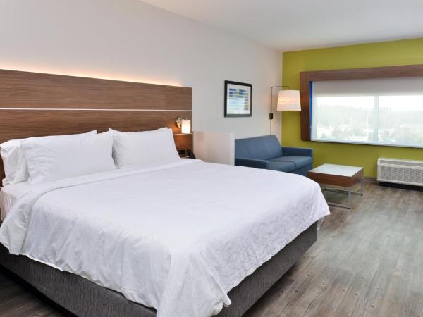 Holiday Inn Express Orlando - South Park, an IHG Hotel : photo 5 de la chambre chambre premium 