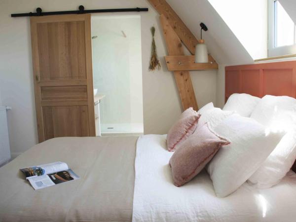 Maison Chemin, chambres d'hôtes à Amboise : photo 2 de la chambre chambre lit queen-size - vue sur jardin