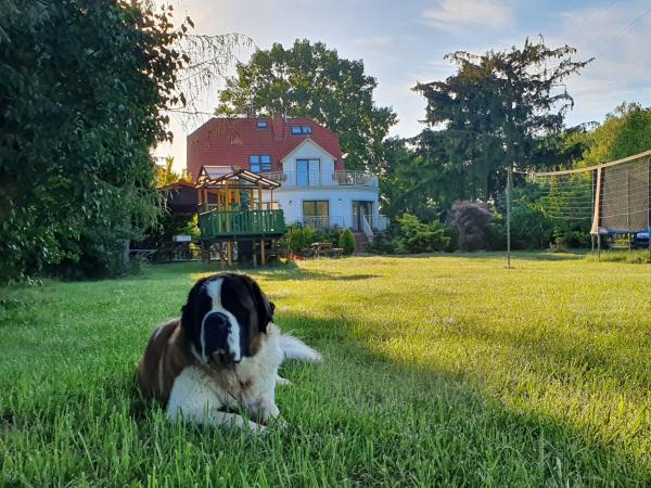 Pokoje Gościnne Świnoujście Łunowo : photo 8 de la chambre studio standard