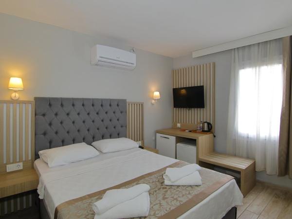 Hotel Bleu Nuit : photo 1 de la chambre chambre double ou lits jumeaux standard