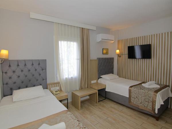 Hotel Bleu Nuit : photo 3 de la chambre chambre double ou lits jumeaux standard