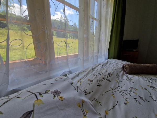 Willa Pod Piórem : photo 1 de la chambre chambre simple avec salle de bains privative