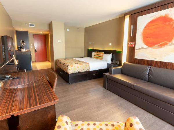 Hotel Must : photo 3 de la chambre chambre avec 2 grands lits queen-size