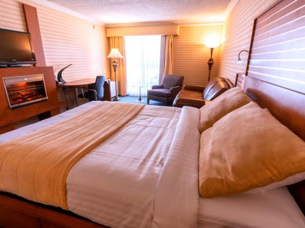 Hôtel Lindbergh : photo 2 de la chambre chambre lit queen-size supérieure avec canapé-lit