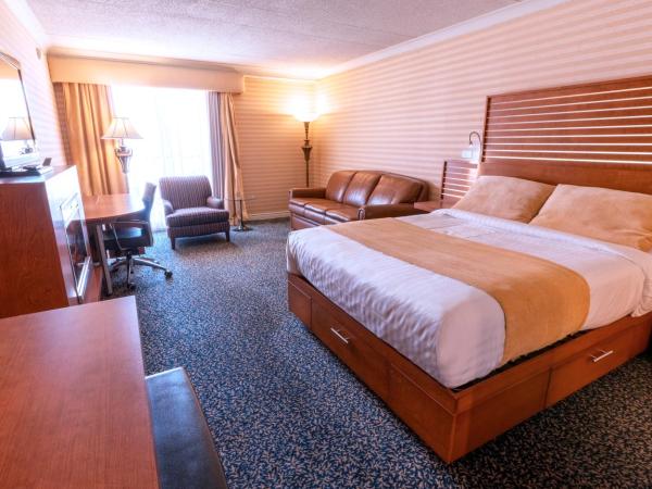 Hôtel Lindbergh : photo 1 de la chambre chambre lit queen-size supérieure avec canapé-lit