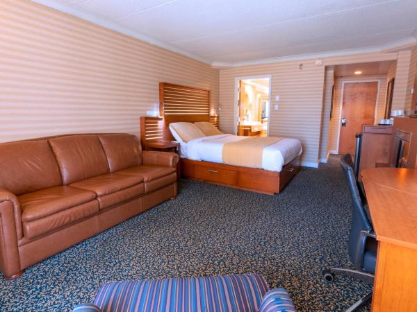 Hôtel Lindbergh : photo 3 de la chambre chambre lit queen-size supérieure avec canapé-lit