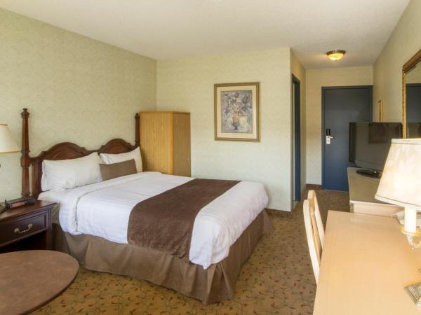 Auberge Québec : photo 2 de la chambre chambre double standard