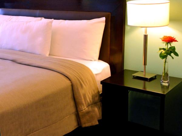 Rochester Hotel Classic : photo 5 de la chambre chambre double avec lit double