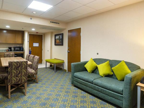 Holiday Inn Express & Suites Cuernavaca, an IHG Hotel : photo 1 de la chambre suite exécutive