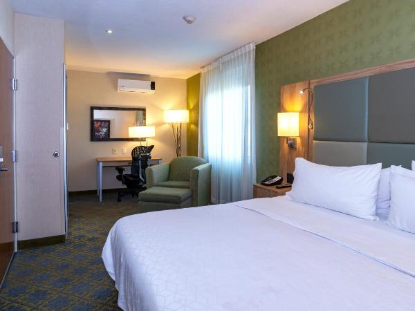 Holiday Inn Express & Suites Cuernavaca, an IHG Hotel : photo 5 de la chambre suite exécutive