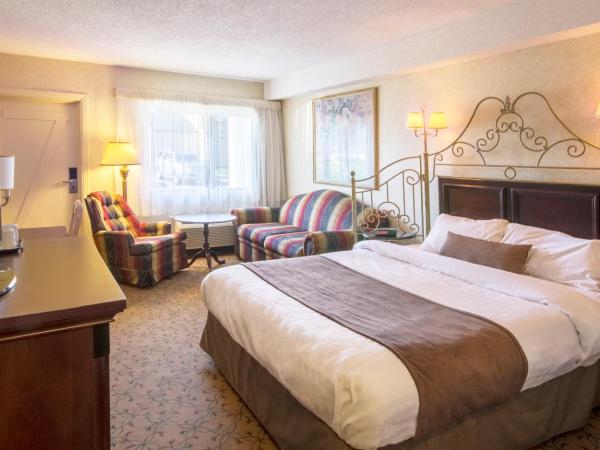 Auberge Québec : photo 1 de la chambre chambre lit queen-size avec canapé-lit