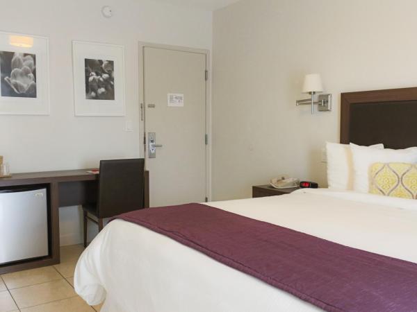 Collins Hotel : photo 2 de la chambre chambre lit king-size standard (sans frais de service)